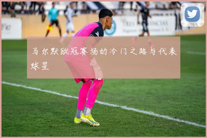 马尔默欧冠赛场的冷门之路与代表球星
